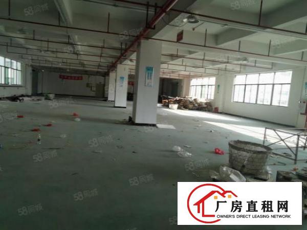  正规工业园精装修厂房出租