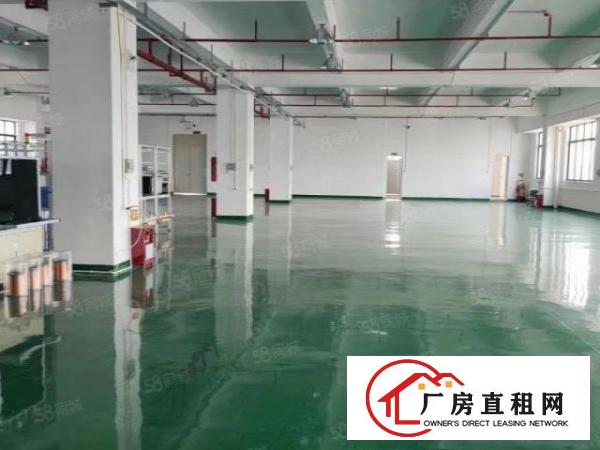  正规工业园精装修厂房出租