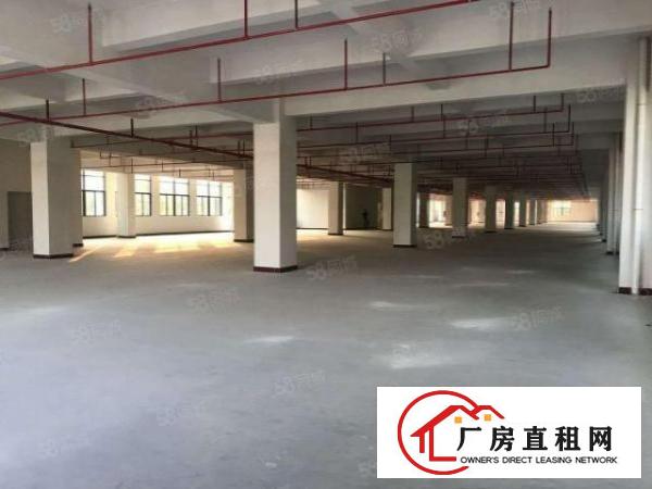  原房东二楼1900平方，大小分租，可办环评，水电齐全工业用地