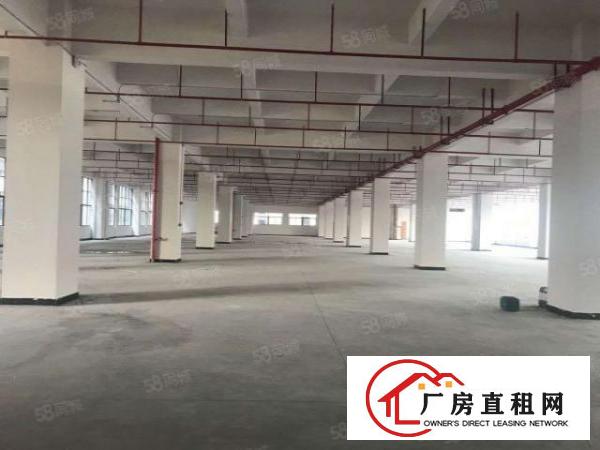  原房东二楼1900平方，大小分租，可办环评，水电齐全工业用地