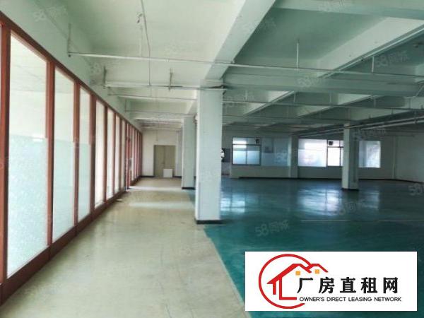  大朗黎贝岭新空出独栋厂房三楼900平全新地坪漆