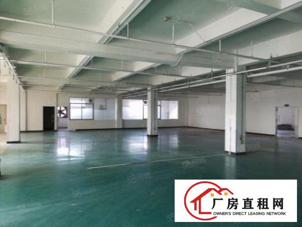  大朗黎贝岭新空出独栋厂房三楼900平全新地坪漆