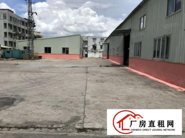  大朗象山新空出原房东独院单一层钢构2500方可分租工业用地