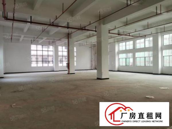  大朗新马连一楼厂房出租实际面积无公摊