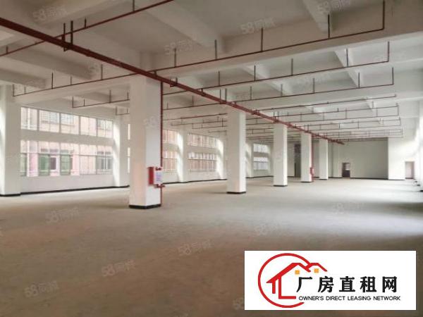  大朗新马连一楼厂房出租实际面积无公摊