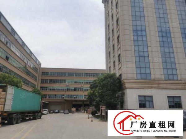  大朗新马连一楼厂房出租实际面积无公摊