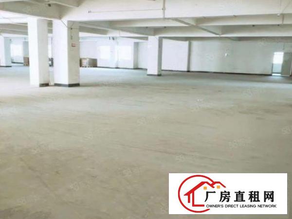  大朗镇原房东独门独院厂房16层6600平，可分租