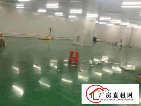 大朗镇原房东独门独院厂房16层6600平，可分租