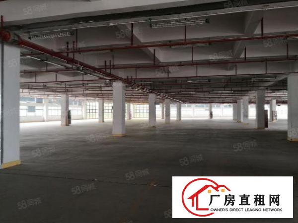  东莞大朗象山工业城原房东2000平方厂房出租可办环评可分租