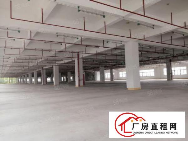  东莞大朗象山工业城原房东2000平方厂房出租可办环评可分租