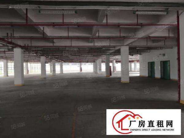  东莞大朗象山工业城原房东2000平方厂房出租可办环评可分租