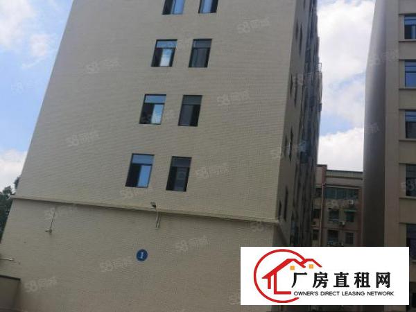  大朗象山工业城新出标准厂房分租三楼1800平米惊爆价13块