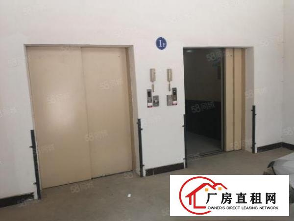  大朗象山工业城新出标准厂房分租三楼1800平米惊爆价13块