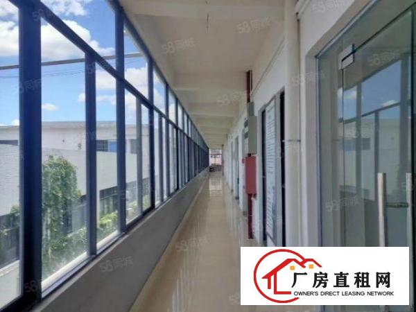  精装修办公室出租办公，电商，贸易，研发，企业培训