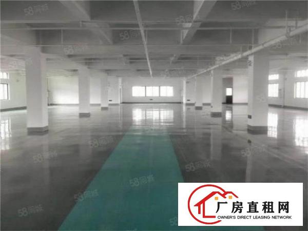  大朗仙村原房东独院厂房4500平可分租300起分，刷地坪漆