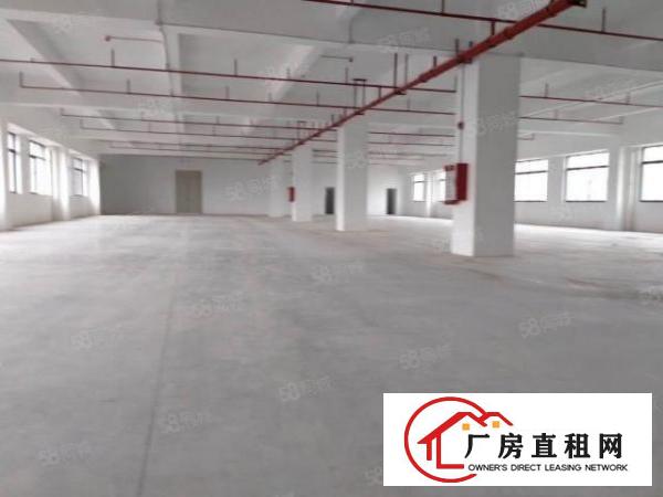 东莞大朗镇富民工业区8000平方出租