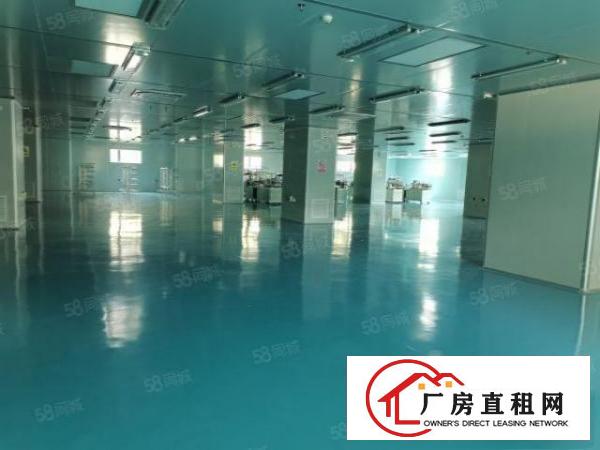  茶山塘角原房东工业园分租带无尘车间现成装修厂房招租