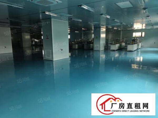  茶山塘角原房东工业园分租带无尘车间现成装修厂房招租