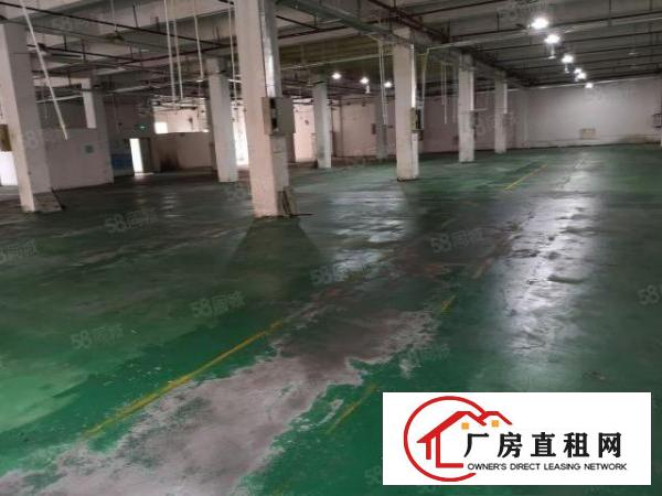  大朗新出标准厂房分租一楼2000平米水电齐全欢迎来电咨询