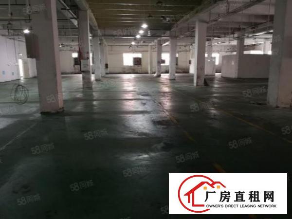  大朗新出标准厂房分租一楼2000平米水电齐全欢迎来电咨询