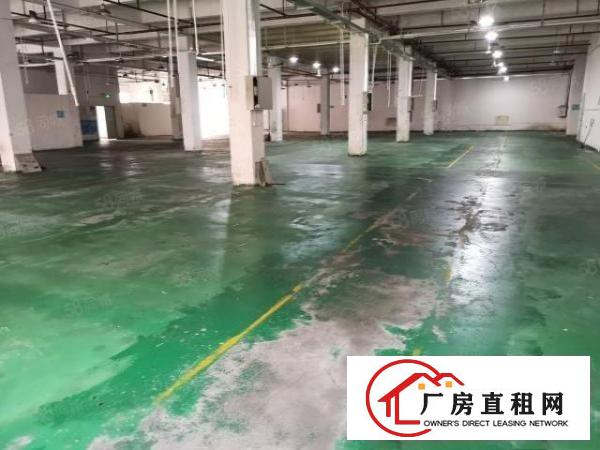  大朗新出标准厂房分租一楼2000平米水电齐全欢迎来电咨询