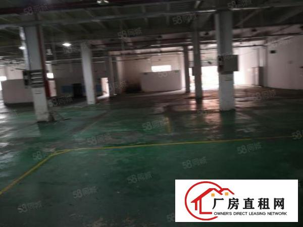  大朗新出标准厂房分租一楼2000平米水电齐全欢迎来电咨询