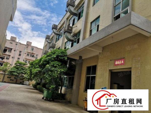  大朗新出标准厂房分租一楼2000平米水电齐全欢迎来电咨询