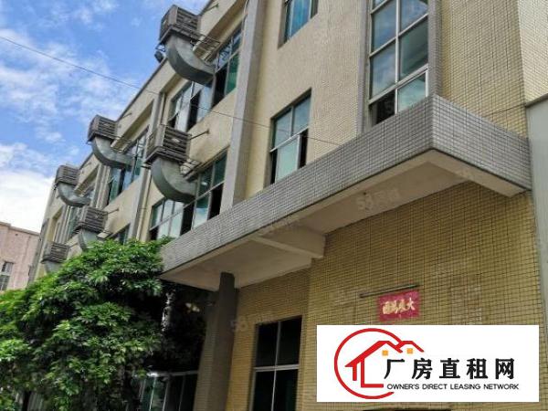  大朗新出标准厂房分租一楼2000平米水电齐全欢迎来电咨询