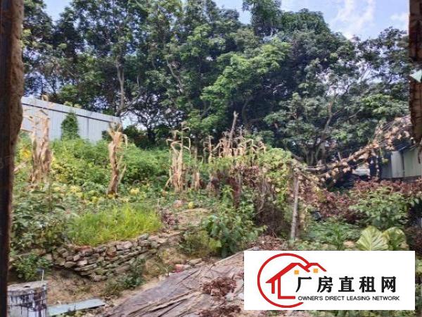  大朗独院厂房520平，周边无居民，适合噪音等小污染