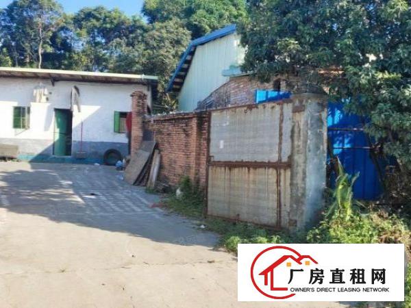  大朗独院厂房520平，周边无居民，适合噪音等小污染