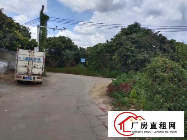  大朗独院厂房520平，周边无居民，适合噪音等小污染
