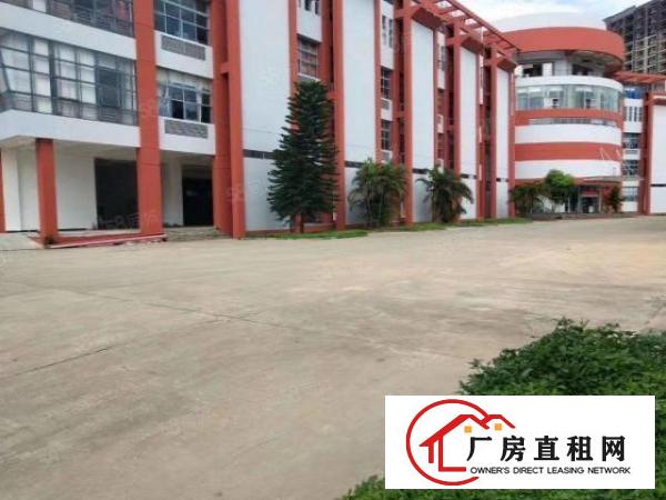  高英超划算厂房1100平精装修原房东实际面积工业用地