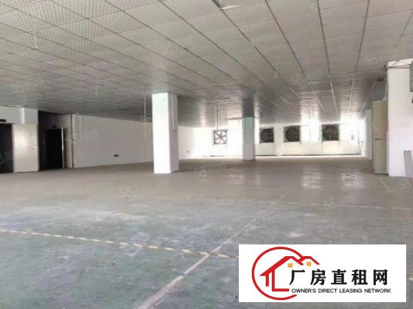  高英超划算厂房1100平精装修原房东实际面积工业用地