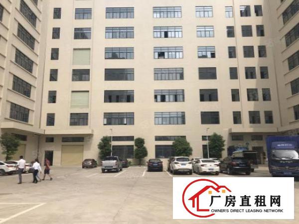  大朗蔡边独栋全新标准厂房7800平出租