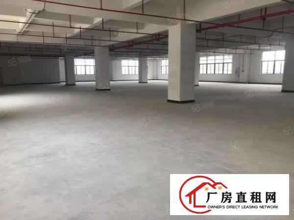 大朗蔡边独栋全新标准厂房7800平出租
