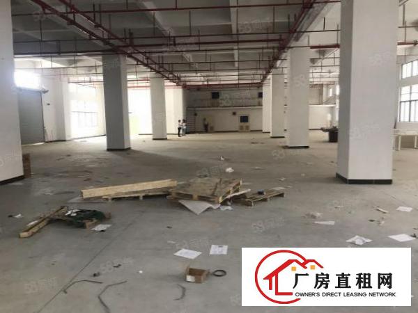  大朗蔡边独栋全新标准厂房7800平出租