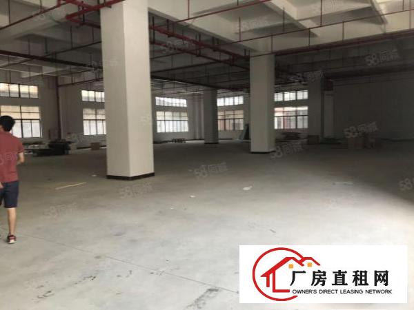  大朗蔡边独栋全新标准厂房7800平出租