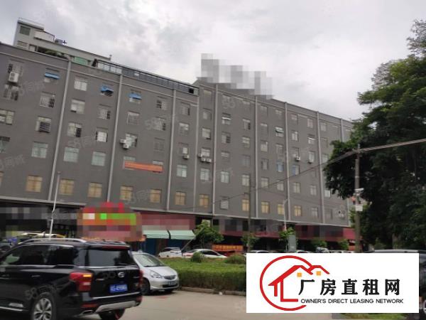  原房东大小可分租，大朗新出标准厂房楼上4800平，带现成装修