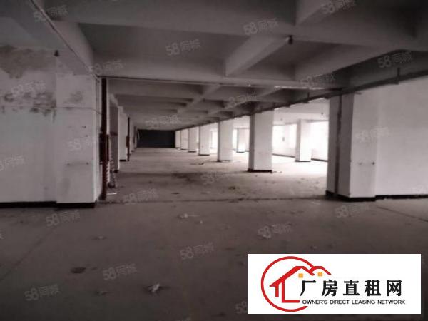  原房东大小可分租，大朗新出标准厂房楼上4800平，带现成装修