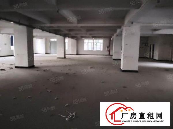  原房东大小可分租，大朗新出标准厂房楼上4800平，带现成装修
