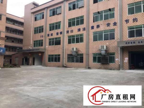  大朗镇洋乌独院标准厂房3楼1100平原房东价格实惠