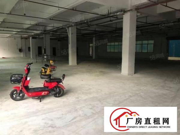  大朗镇洋乌独院标准厂房3楼1100平原房东价格实惠
