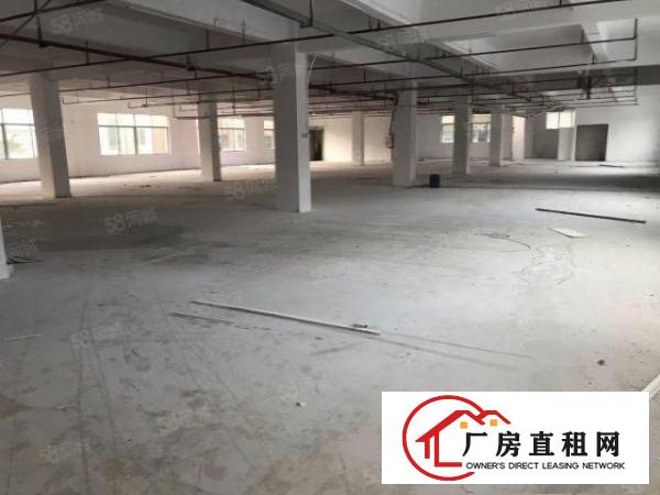  大朗镇洋乌独院标准厂房3楼1100平原房东价格实惠