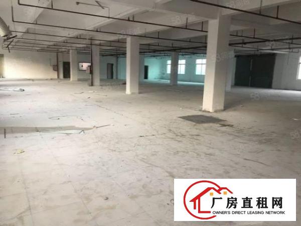  大朗镇洋乌独院标准厂房3楼1100平原房东价格实惠