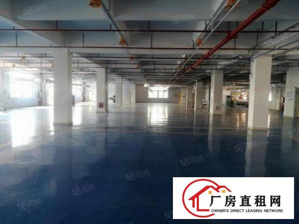  大朗富民大道可办环评带地坪漆空地大