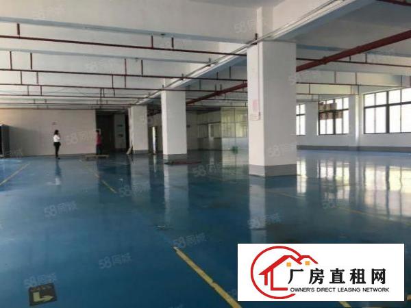  大朗富民大道可办环评带地坪漆空地大