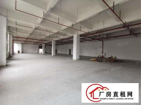  大朗工业园一楼800方带消防喷淋，高度6米，实际面积可进大车