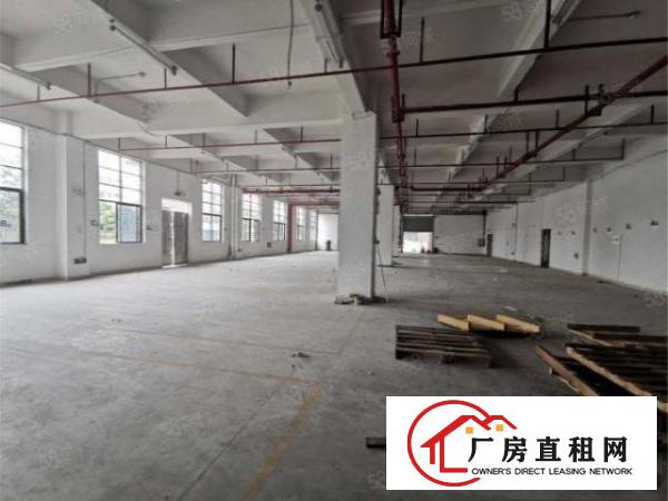  大朗工业园一楼800方带消防喷淋，高度6米，实际面积可进大车