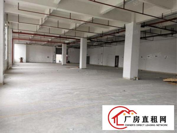  大朗工业园一楼800方带消防喷淋，高度6米，实际面积可进大车