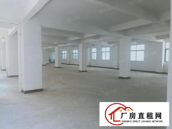  小面积可分租原房东厂房